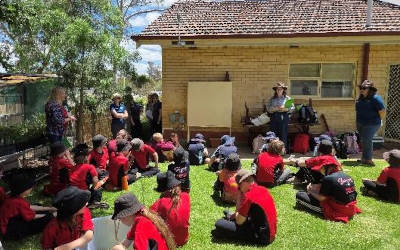 Activity Update November 2025